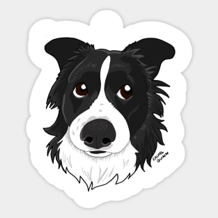 Border Collie Sticker